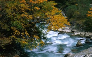 微博:今晚澳门开准确生肖12月4日-九寨沟在什么地方