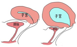 搜狐订阅：香港澳门资料大全-膀胱充盈欠佳是什么意思