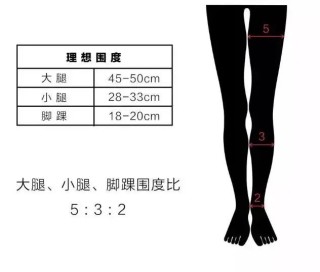 搜狐订阅：2024新澳精准资料免费大全-小腿围怎么量